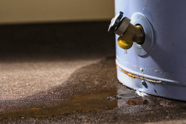 Best Ceiling water damage repair  in Temple City, CA