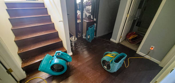 Best Carpet water damage restoration  in Temple City, CA