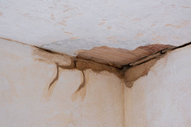 Best Flood restoration services  in Temple City, CA