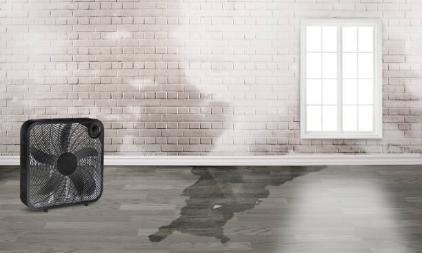 Best Water damage restoration near me  in Temple City, CA