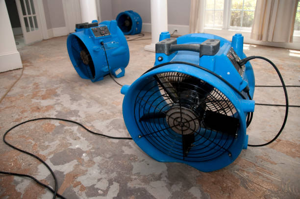 Best Water damage restoration near me  in Temple City, CA