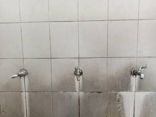 Best 24/7 water damage repair  in Temple City, CA