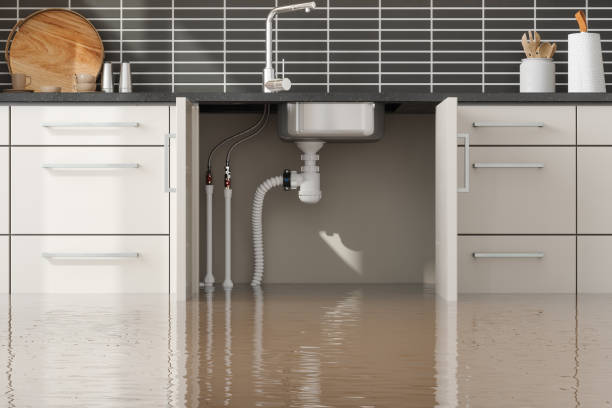 Best Water damage cleanup near me  in Temple City, CA