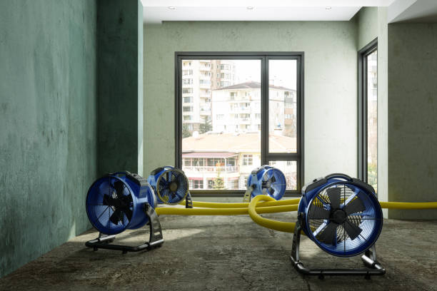 24/7 water damage repair in CA